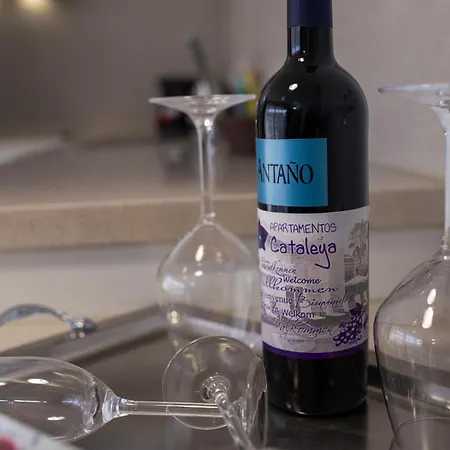 Διαμέρισμα La Cataleya *