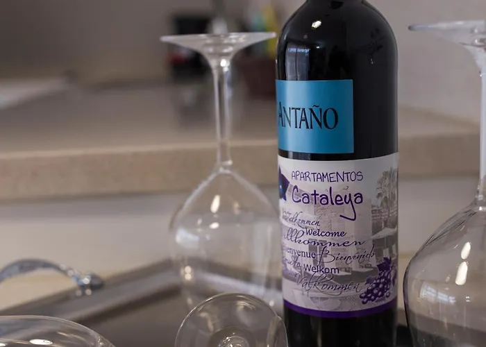 Apartment La Cataleya *