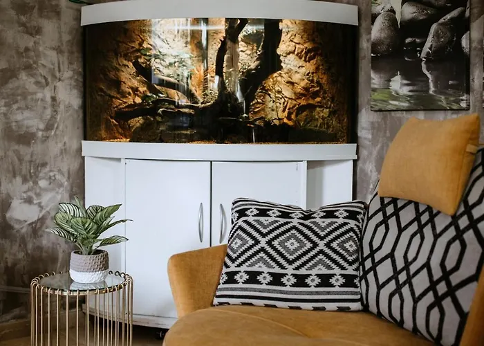 La Cataleya San Agustín